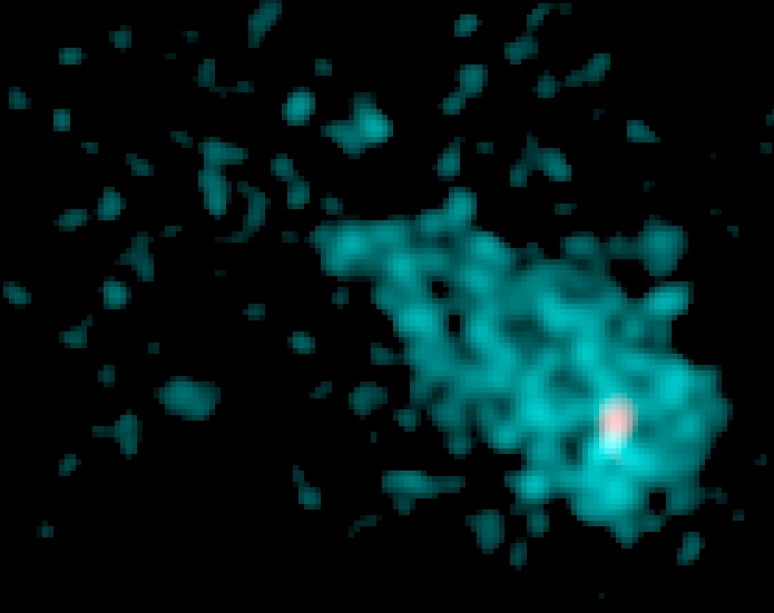 IC 443 w rentgenie (Chandra).